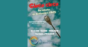 gioco circo
